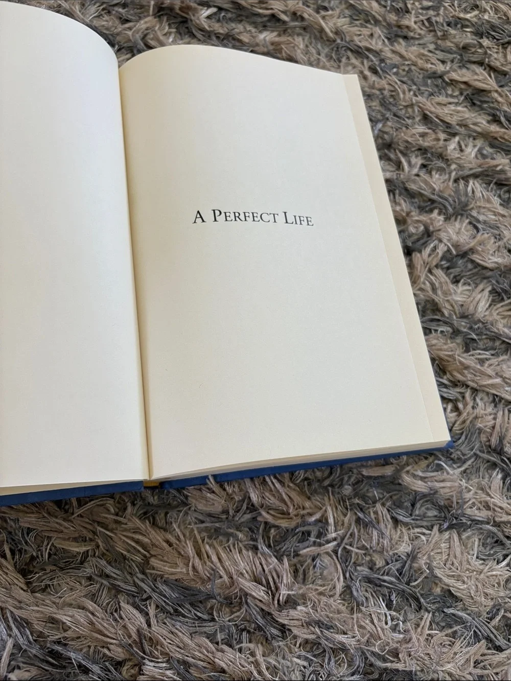 Novel Book “A Perfect Life
